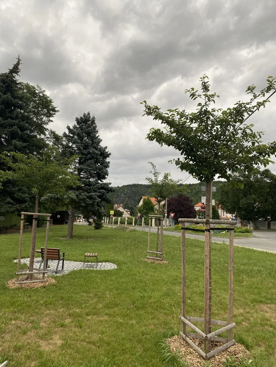 Nová výsadba stromů a workoutové prvky ve Vraném nad Vltavou